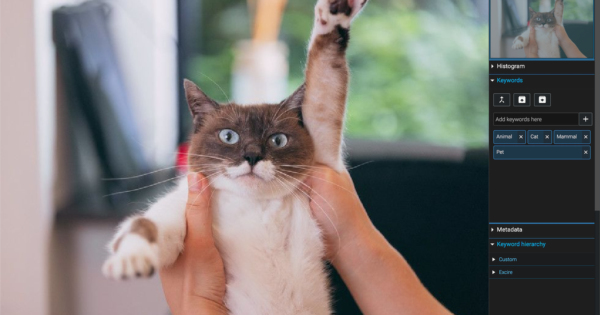 大量の写真を自動で整理。人工知能搭載の写真管理ソフトExcire Foto。