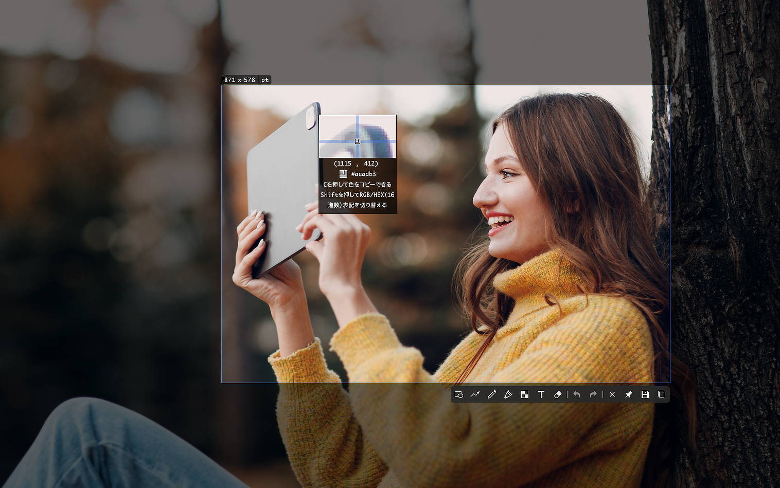 画像に説明を加えて分かりやすくする Snipaste 2 Pro 徹底解説!