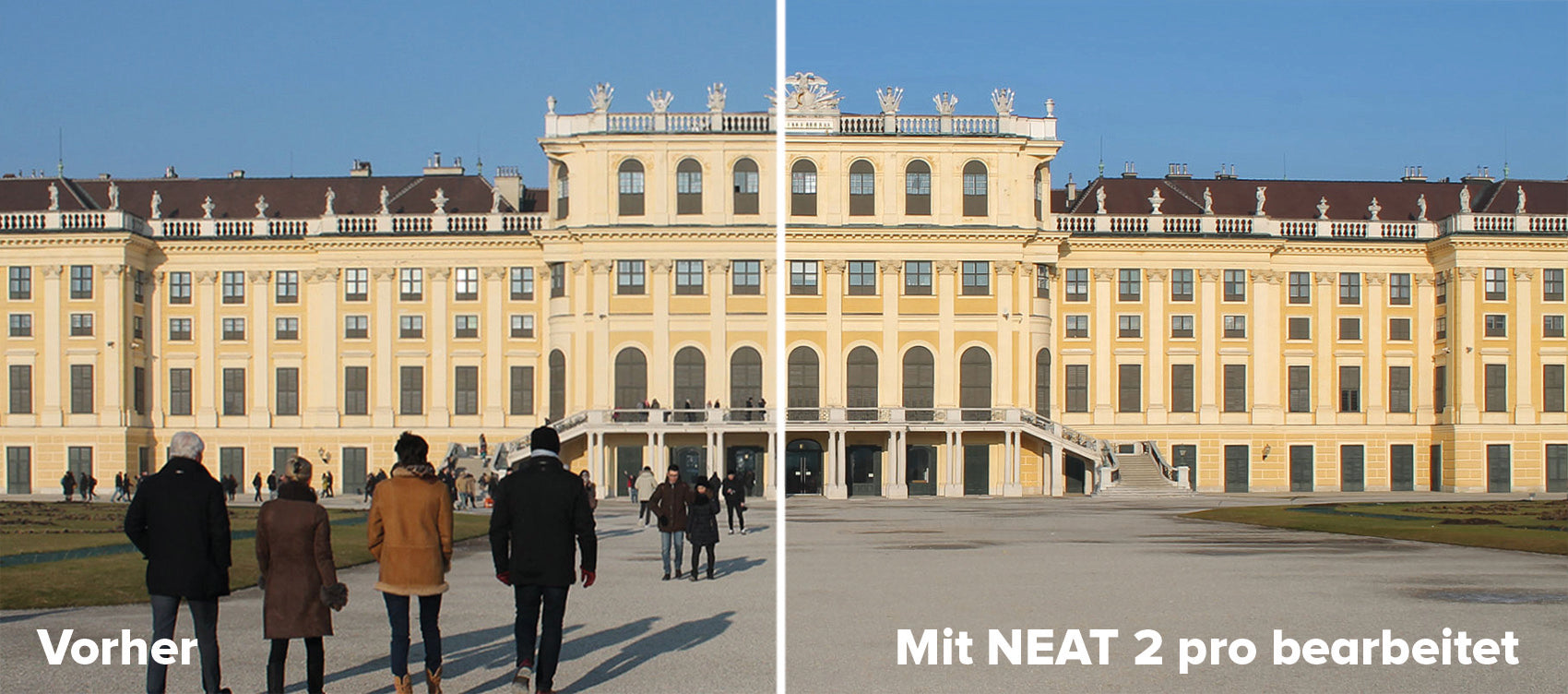 NEAT projects 2 professional