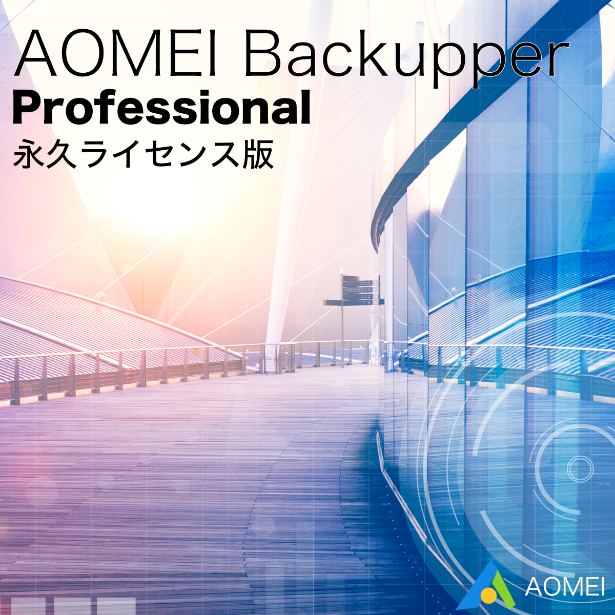 AOMEI Backupper Professional