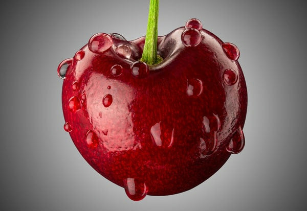 FOCUS projects 5 professional