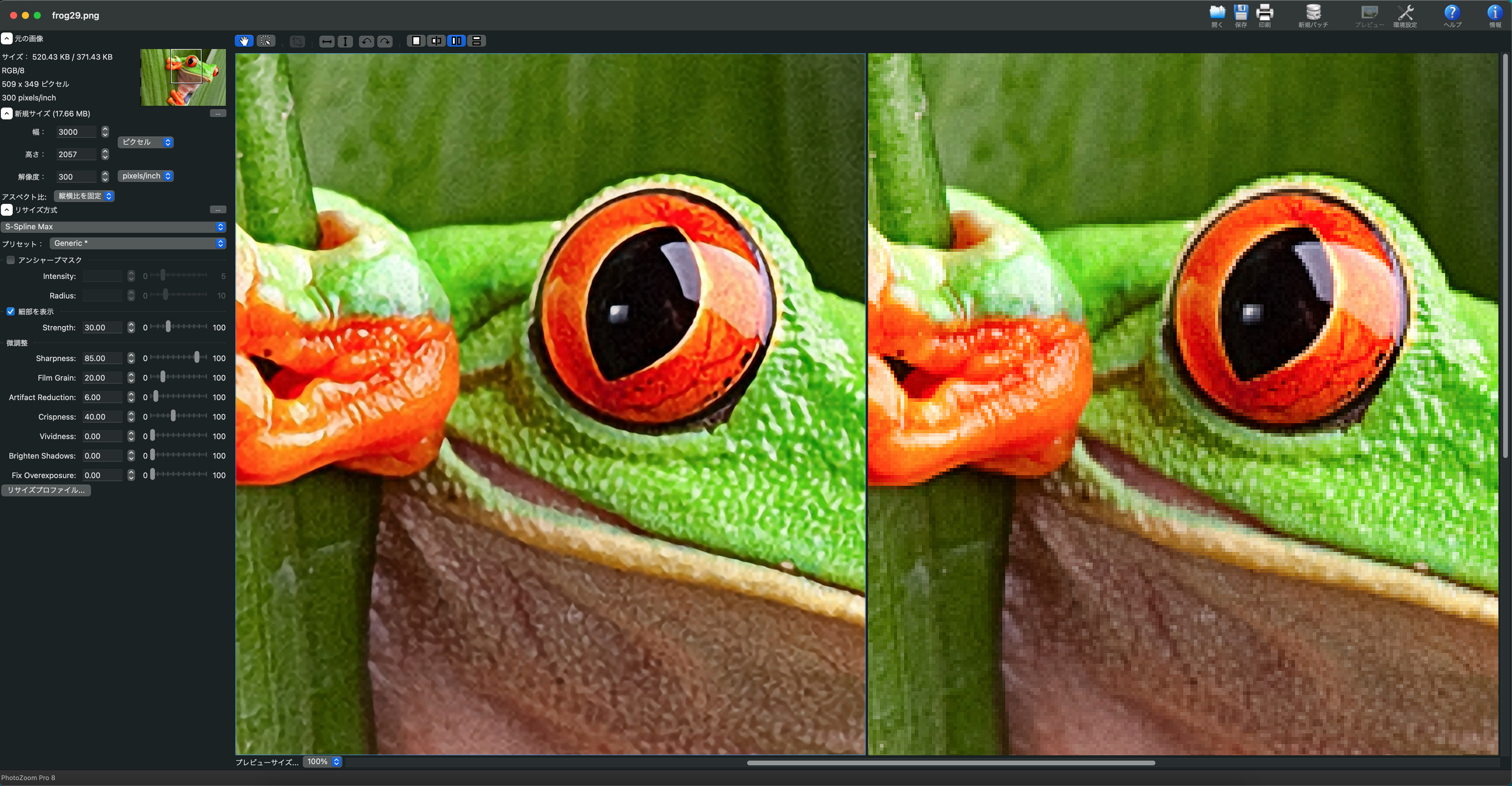 PhotoZoom Pro 8