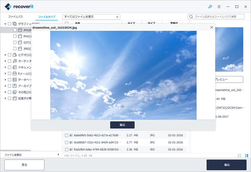 Recoverit Pro