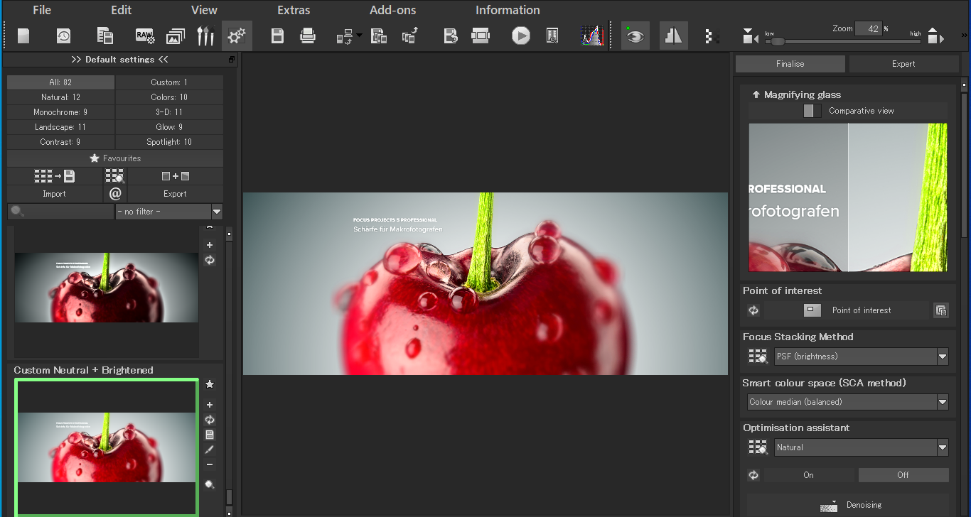 FOCUS projects 5 professional