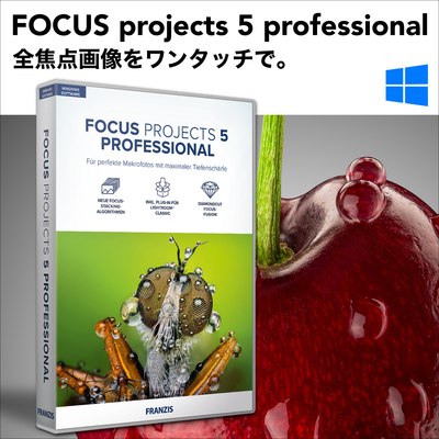 FOCUS projects 5 professional